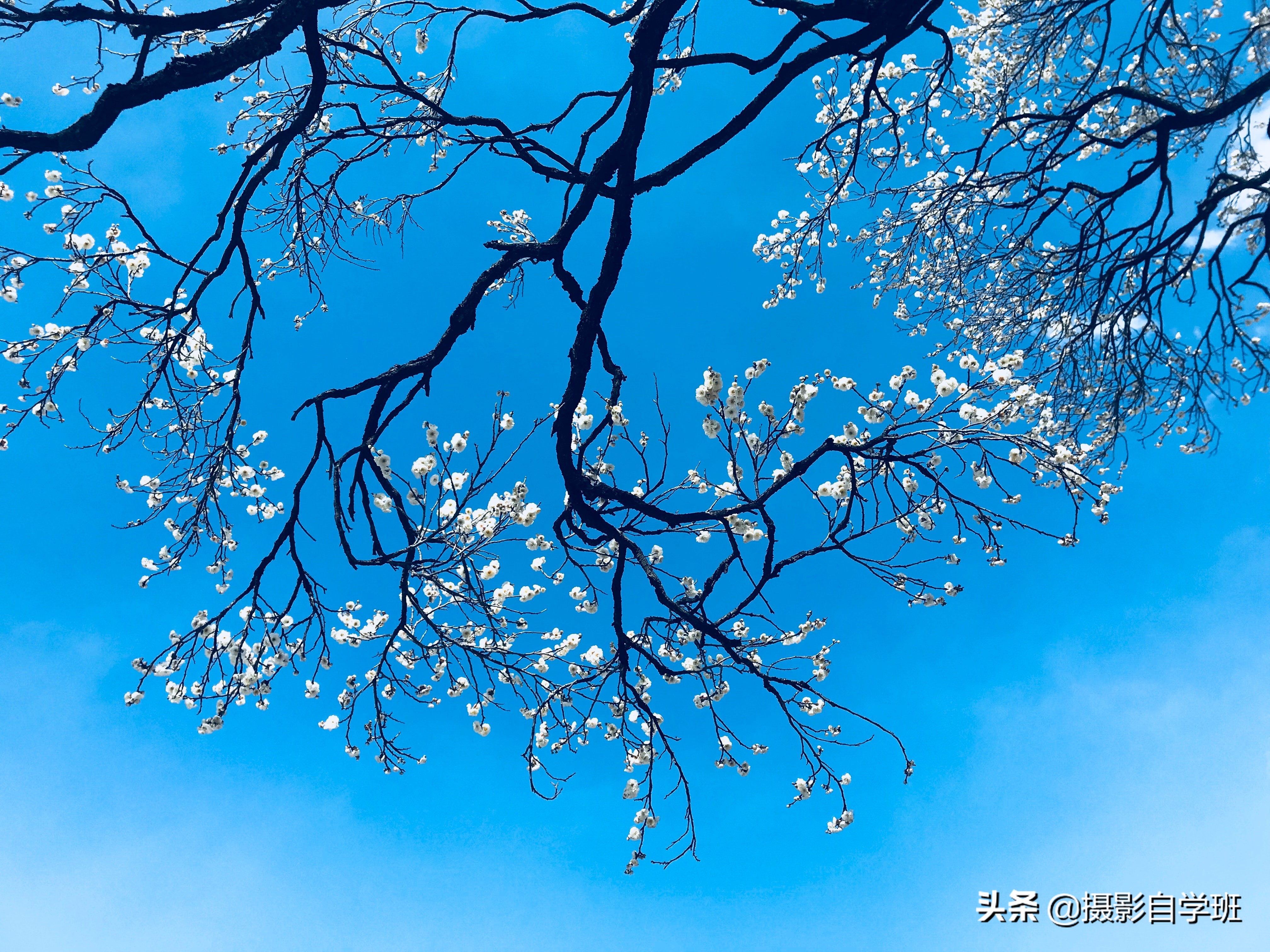 摄影拍出抽象风格照片5个诀窍,照片怎么加虚化