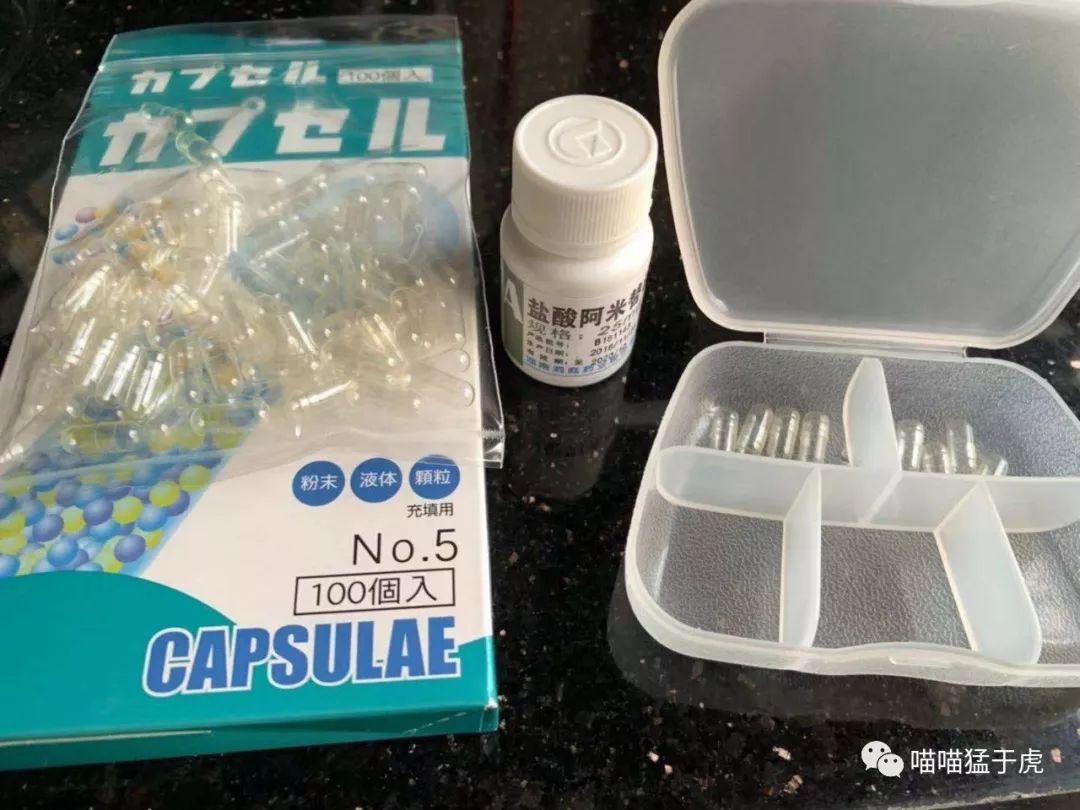 治疗猫咪抑郁症的四个方法图,猫抑郁的最佳治疗方法