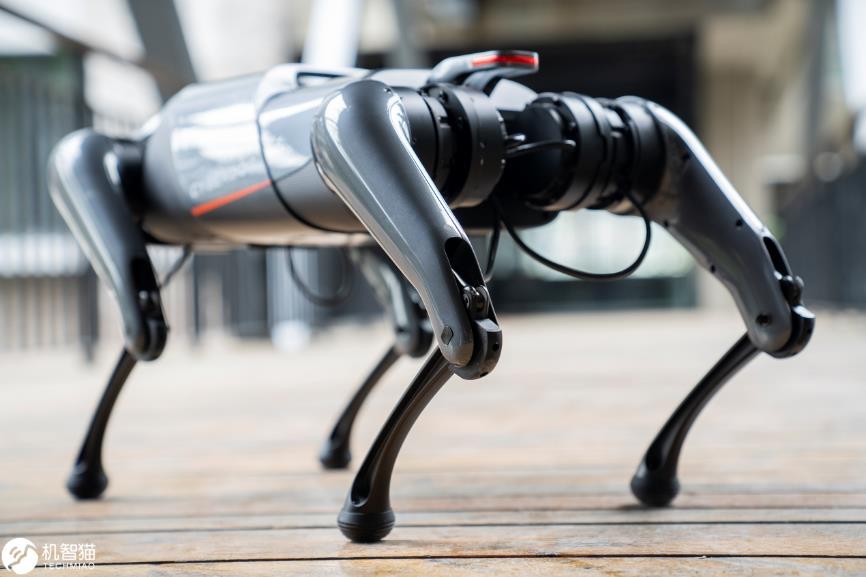铁蛋四足仿生机器人,cyberdog铁蛋有什么用