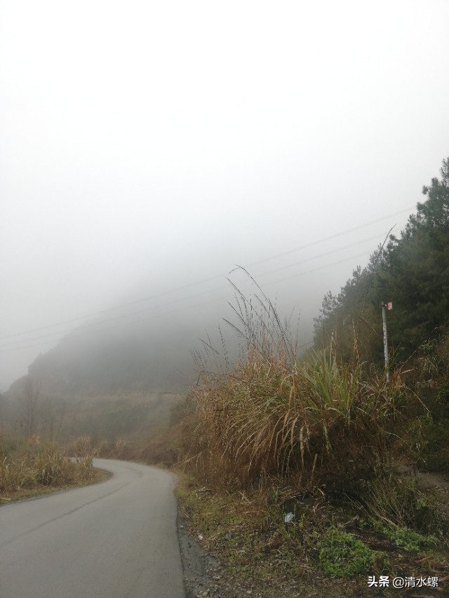 看到这个老铁路洞口，我莫名的伤心，童年的记忆都给我勾出来了