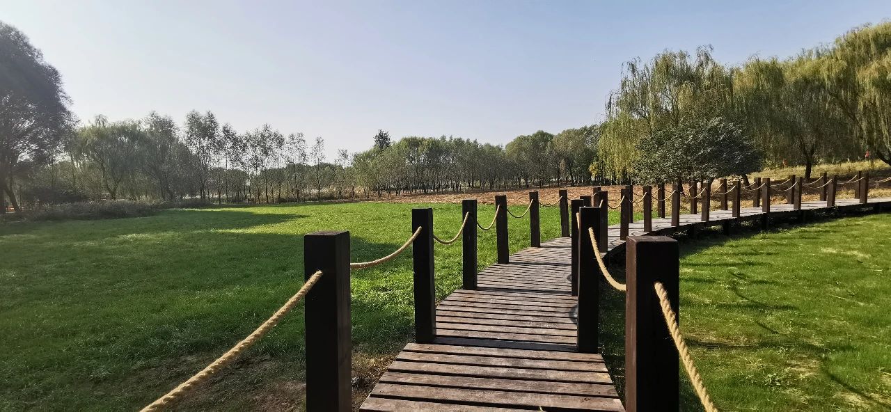 山东王屋湖国家湿地公园,山东最美湿地公园