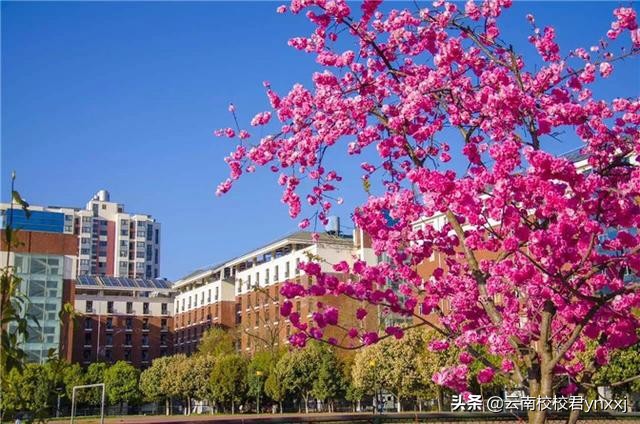 西点培训学校云南,云南西点文化学校收费标准