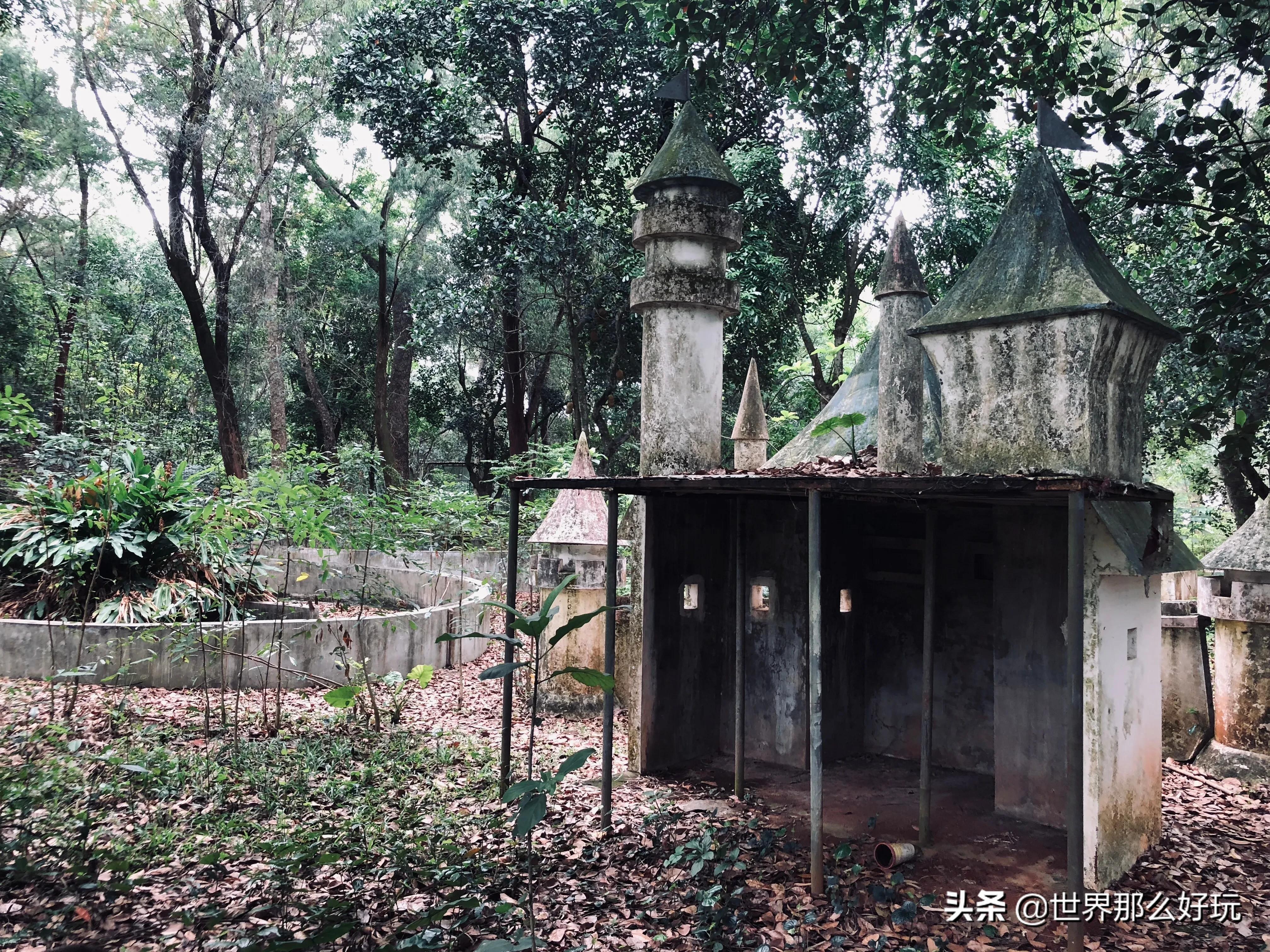 海南金牛岭动物园视频,海口金牛岭公园现在还有动物园吗