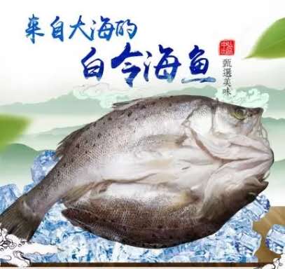 清蒸时令海鱼,三分钟清蒸海鱼