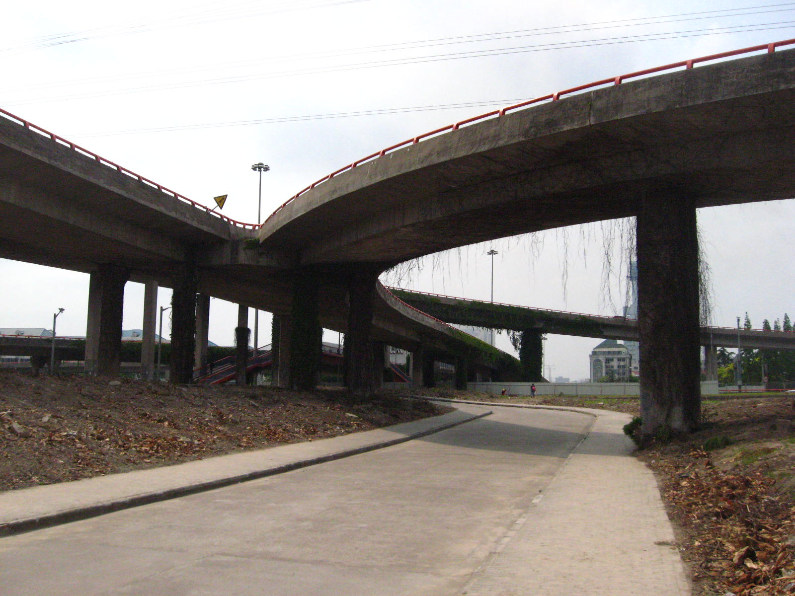 必然的规律,必然规律