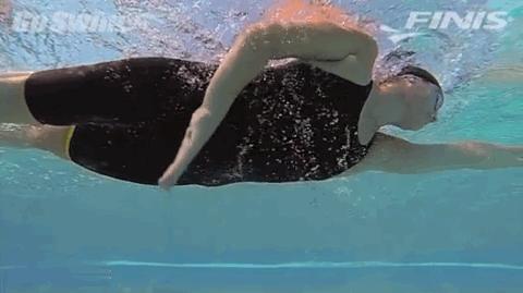 技巧自由泳的划水动作其实很简单,自由泳划水小技巧图解