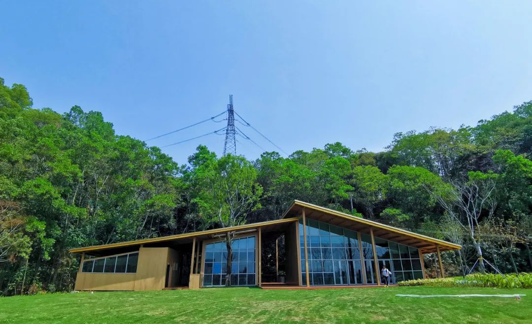 深圳天空之镜网红玻璃桥,深圳玻璃桥免费旅游攻略