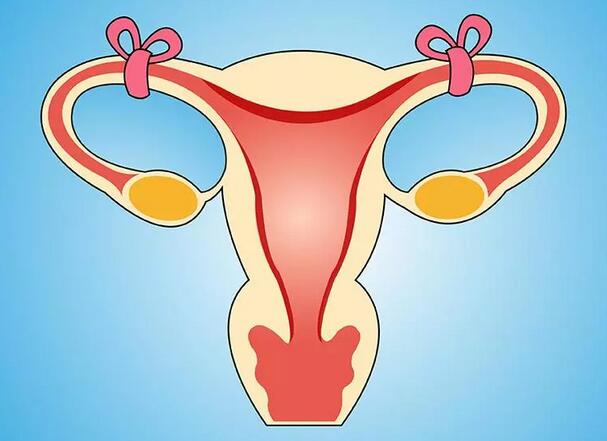 还在纠结做结扎手术还是上环避孕？庞奶奶帮你权衡一下