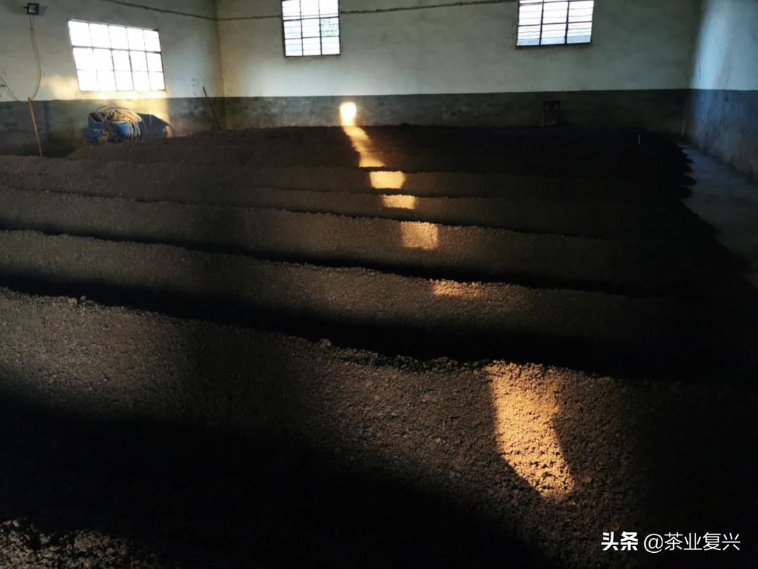 如果没有会喝易武茶的人，好茶的存在就没有意义