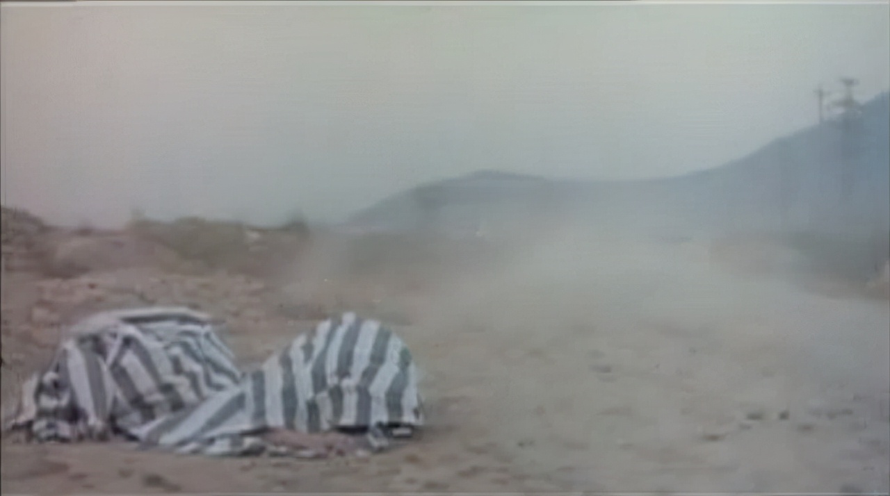 东莞老头贪便宜捡了一袋冬瓜,东莞一老头贪便宜捡了一袋冬瓜