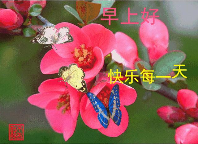 早上好周末愉快问候语动态表情包,周一问候早上好带字美图