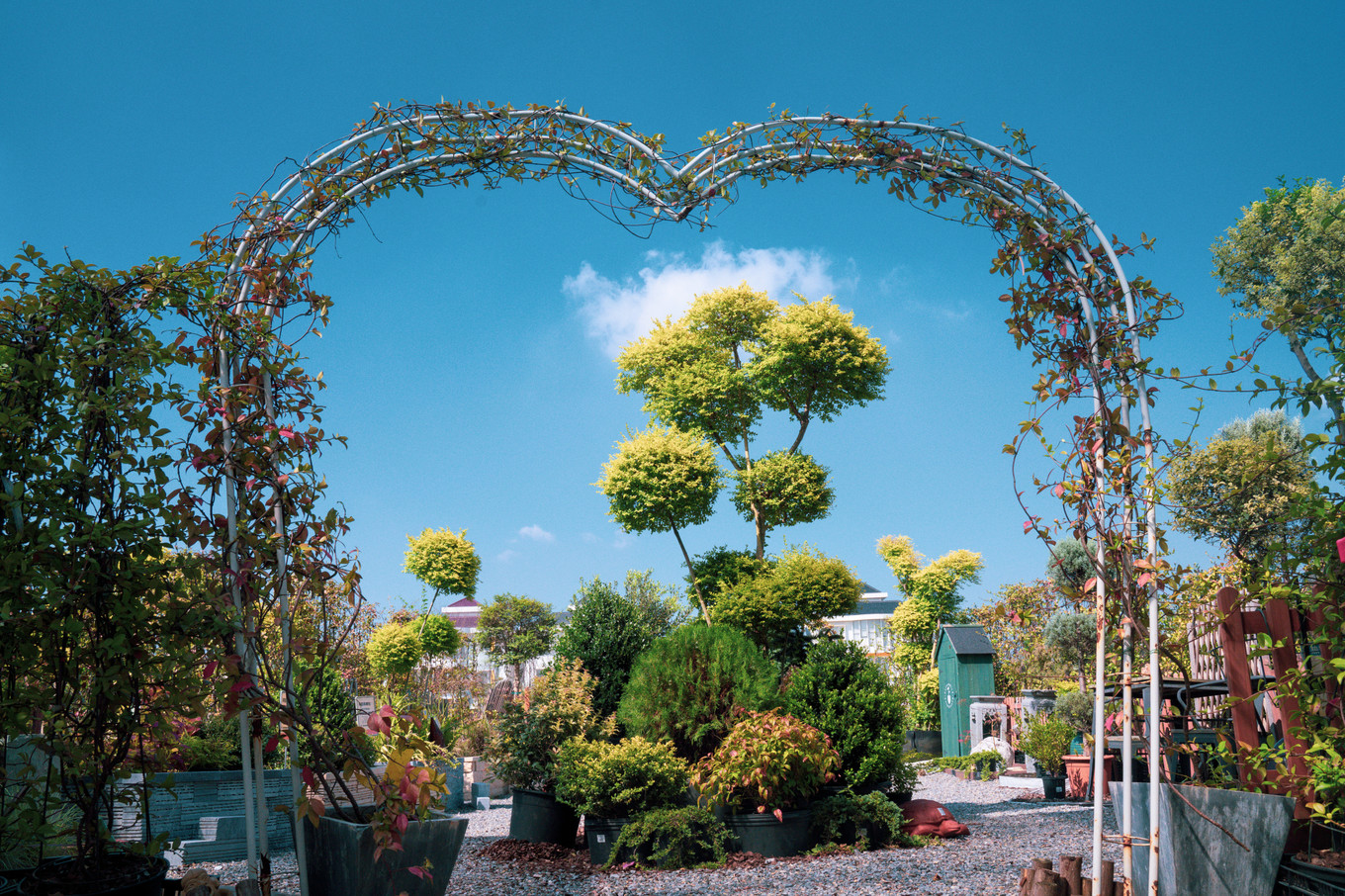 不仅仅是皮革，海清潮静——海宁