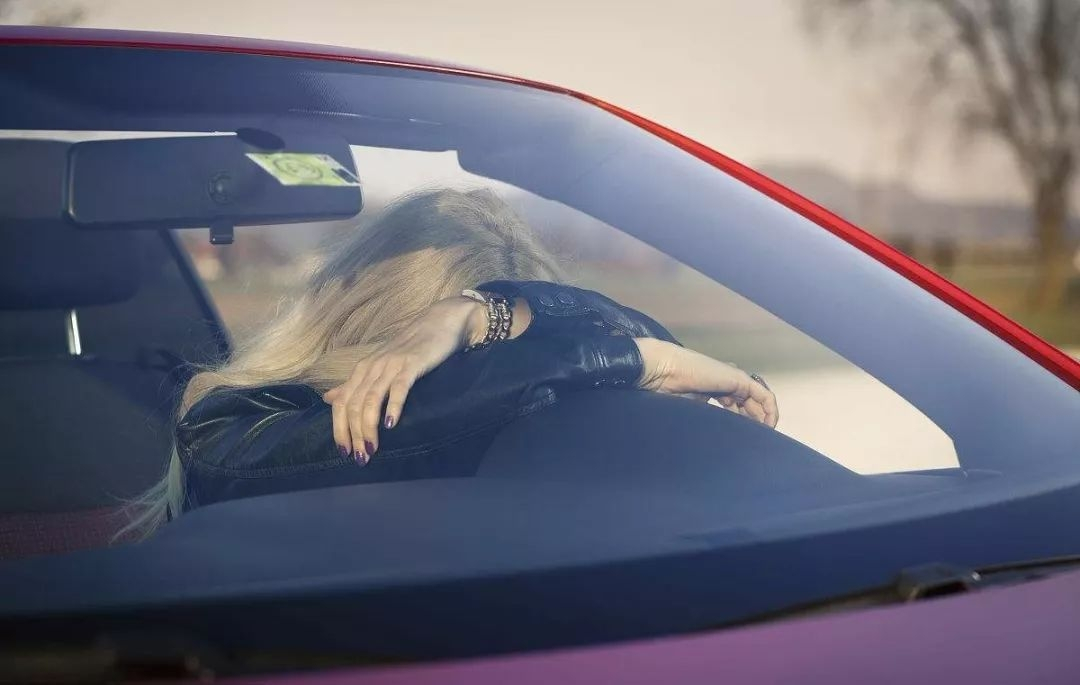 开车撞了小动物怎么处理,开车高速路上撞到小动物怎么化解