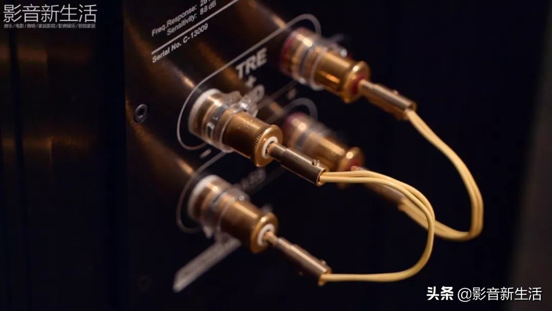 丹麦皇冠590旗舰音箱,试听丹麦达尼音响