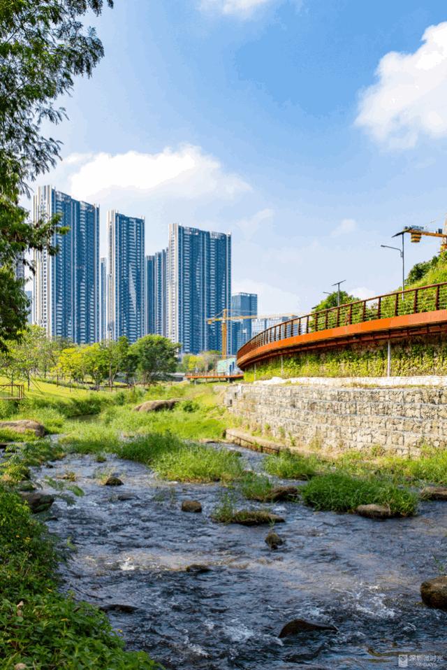 盼了1年！南山新地标“塞纳河”惊艳露面