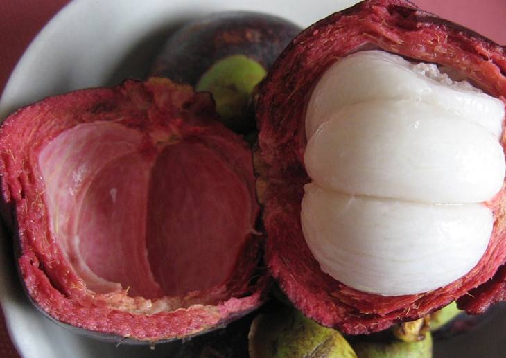 山竹水果皇后作用,水果山竹的功效与禁忌