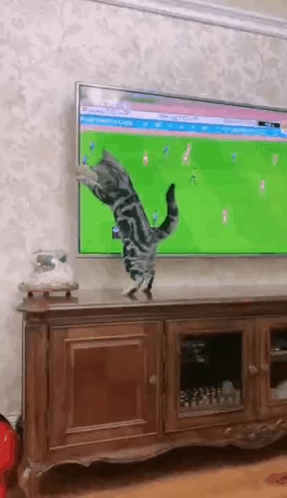 <html>
<head><title>502BadGateway</title></head>
<body>
<center><h1>502BadGateway</h1></center>
<hr><center>nginx</center>
</body>
</html>
<!--apaddingtodisableMSIEandChromefriendlyerrorpage-->
<!--apaddingtodisableMSIEandChromefriendlyerrorpage-->
<!--apaddingtodisableMSIEandChromefriendlyerrorpage-->
<!--apaddingtodisableMSIEandChromefriendlyerrorpage-->
<!--apaddingtodisableMSIEandChromefriendlyerrorpage-->
<!--apaddingtodisableMSIEandChromefriendlyerrorpage-->
