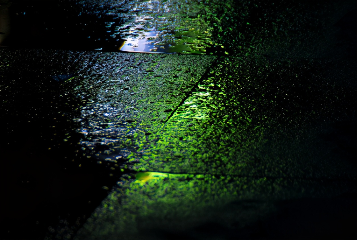 乡情散文记忆深处的夏天,乡情散文我挂念的老屋