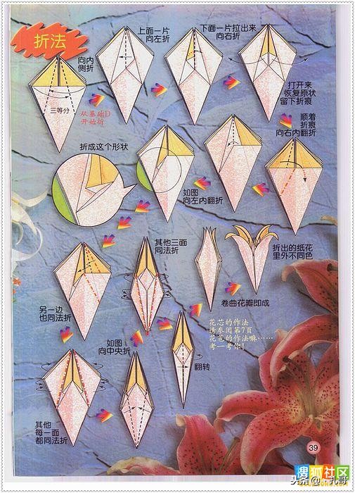 折纸大全方便又漂亮又实用,精致实用的折纸大全步骤