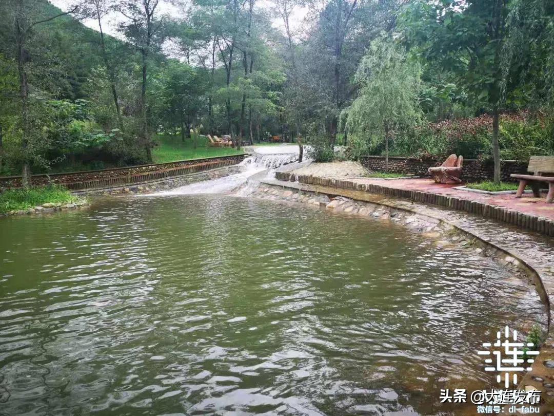 大连最美赏槐露营地,槐之乡露营地