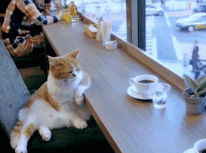 最快减肥方法一星期瘦10斤亲测,健康减肥30斤分享最有效减肥方法