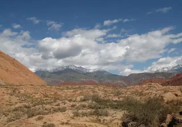 温宿大峡谷雅丹地貌,温宿大峡谷是什么地貌