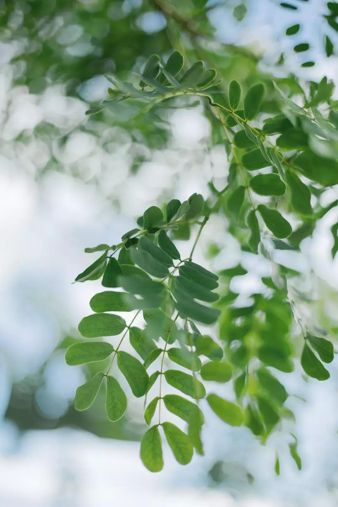 厦门新晋摩洛哥网红民宿,厦门摩洛哥海景民宿