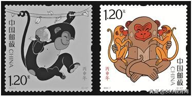 中考语文知识点归纳视频,上海中考语文必考重点知识点