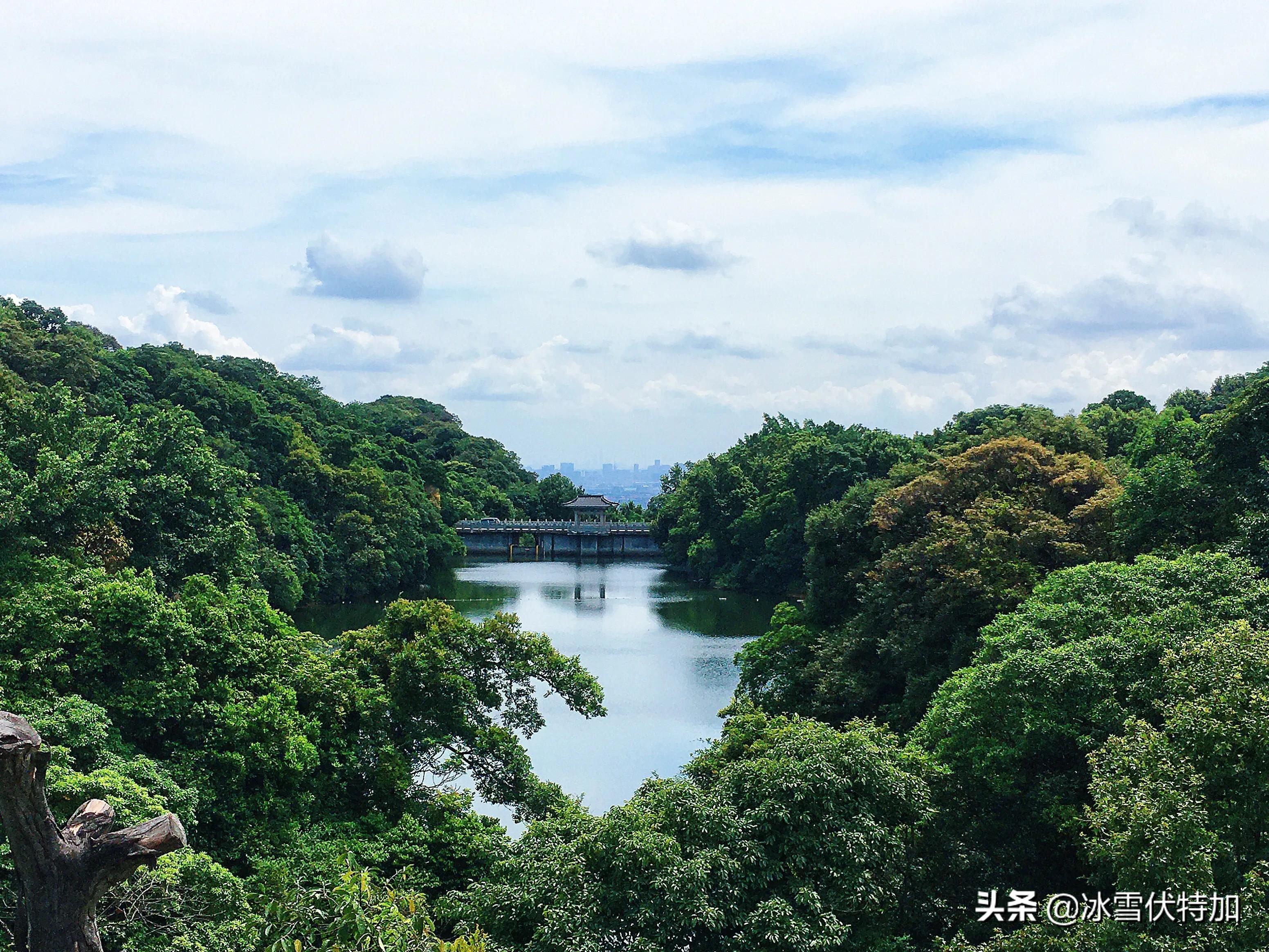 广州顺德美食一日游攻略,广东佛山一日游攻略