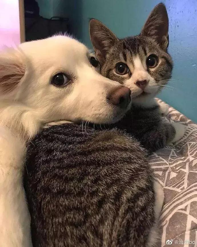 国外真人服装店模特,美国服装模特