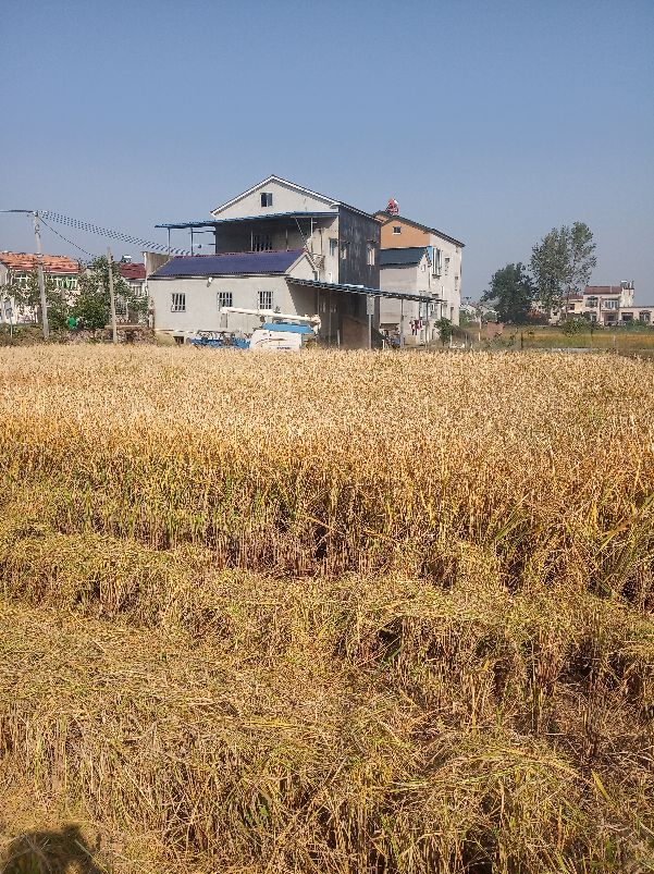 农村出嫁女因为土地吵架如何解决,农村嫁出去的女儿没有土地