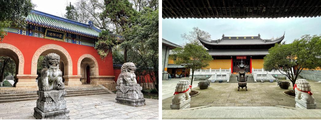 飞行2万公里，足迹10个城市——2020我的手机摄影之旅