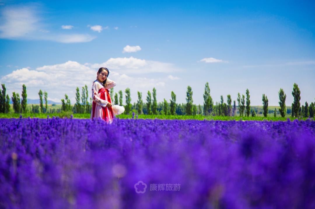 旅行中的故事讲述,旅行过程中的故事