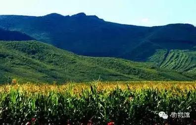 我叫勃利，这是我的个人名片