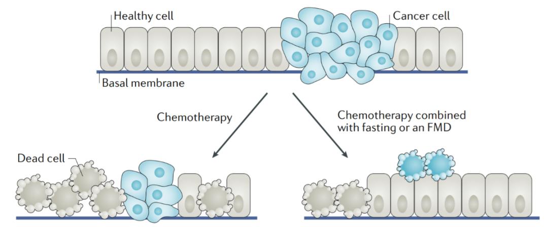 LIGO新发现最小黑洞？一孕傻三年不靠谱|一周科技速览