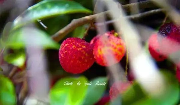 为什么就是离不开保亭？3大理由够不够