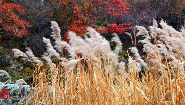 秋分的优美诗词发朋友圈,秋分优美诗词秋分祝福语
