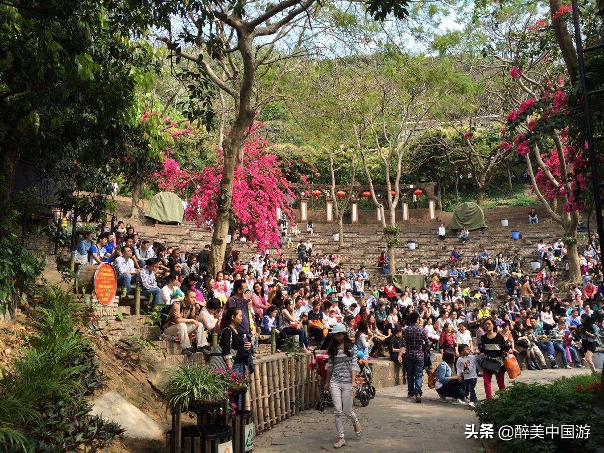 深圳青青世旅游攻略,深圳青青世界详细地址