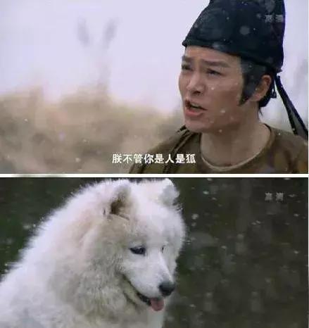 盘点那些奇葩剧情,十大奇葩剧情片子