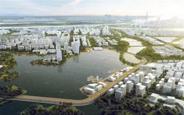 武汉好消息今日头条,湖北武汉好消息