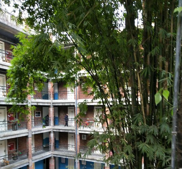 四川大山发现百年古建筑何人所建,四川深山神秘建筑