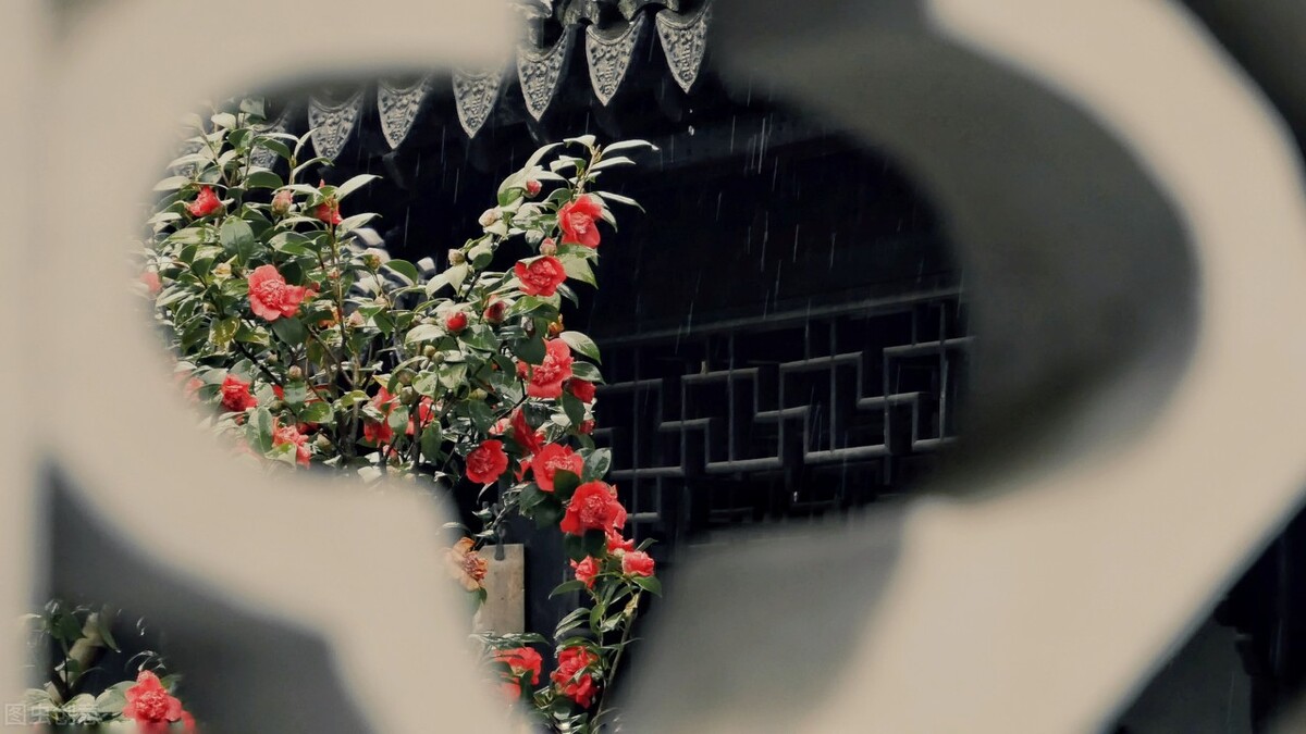 那些令人赞叹的庭院花卉,5种庭院生活方式的花卉