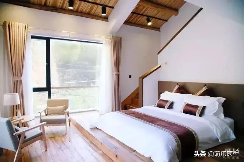 上海可带宠物入住的酒店推荐,怎么选宠物友好酒店房间