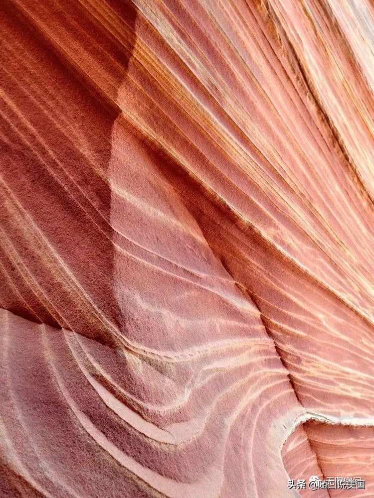 荒野乱斗流彩伊芙强度,荒野行动榴弹怎么用