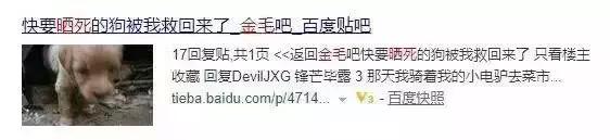 给金毛洗了澡还会掉毛吗,金毛洗完澡后晒干