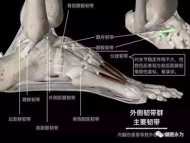 国家队康复师崴脚康复动作,国家队队医治疗崴脚