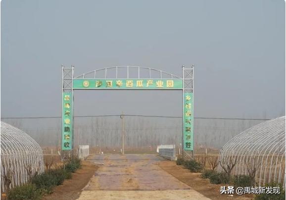 金球华地建商场吗,禹城金球华地最新规划