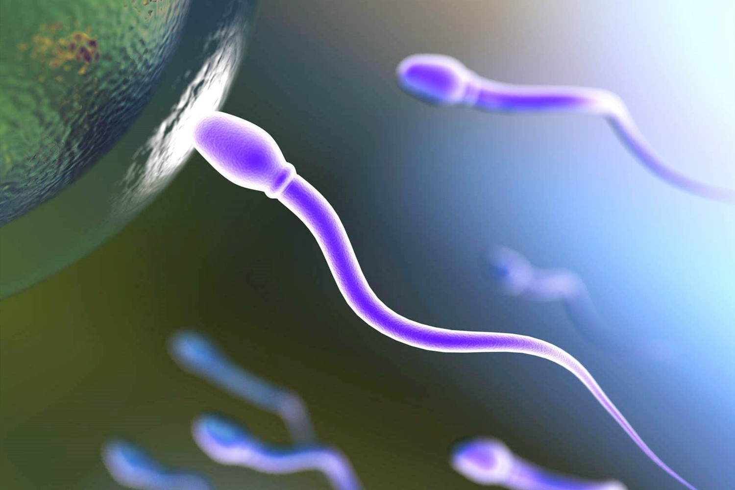 当女性身体出现这3种信号，大概率是到了排卵期，想要宝宝要抓紧