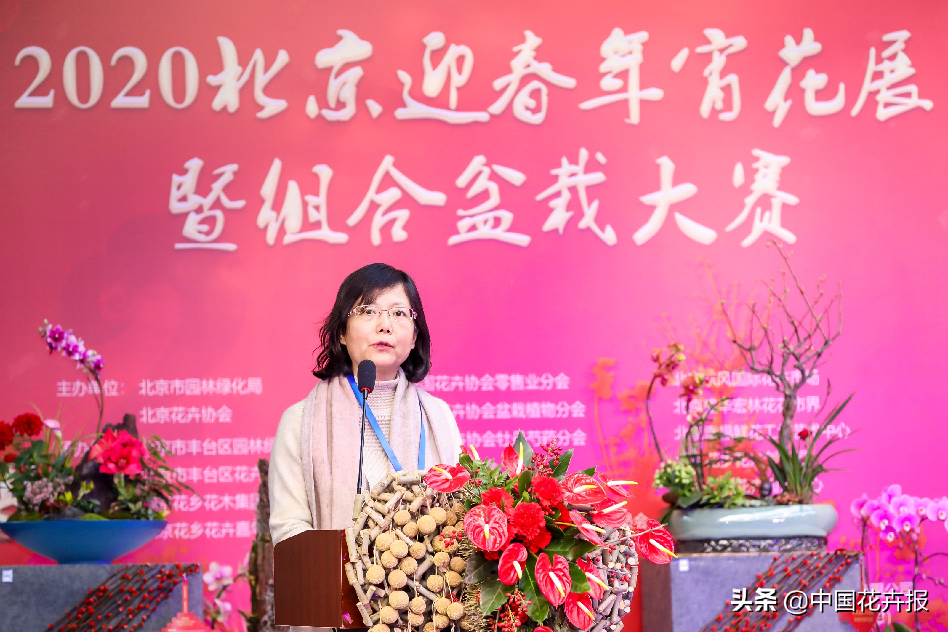 北京迎春花展,北京春季花展时间表