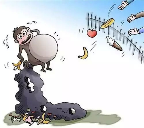 西九华山旅游攻略最详细,九华山景区旅游景点